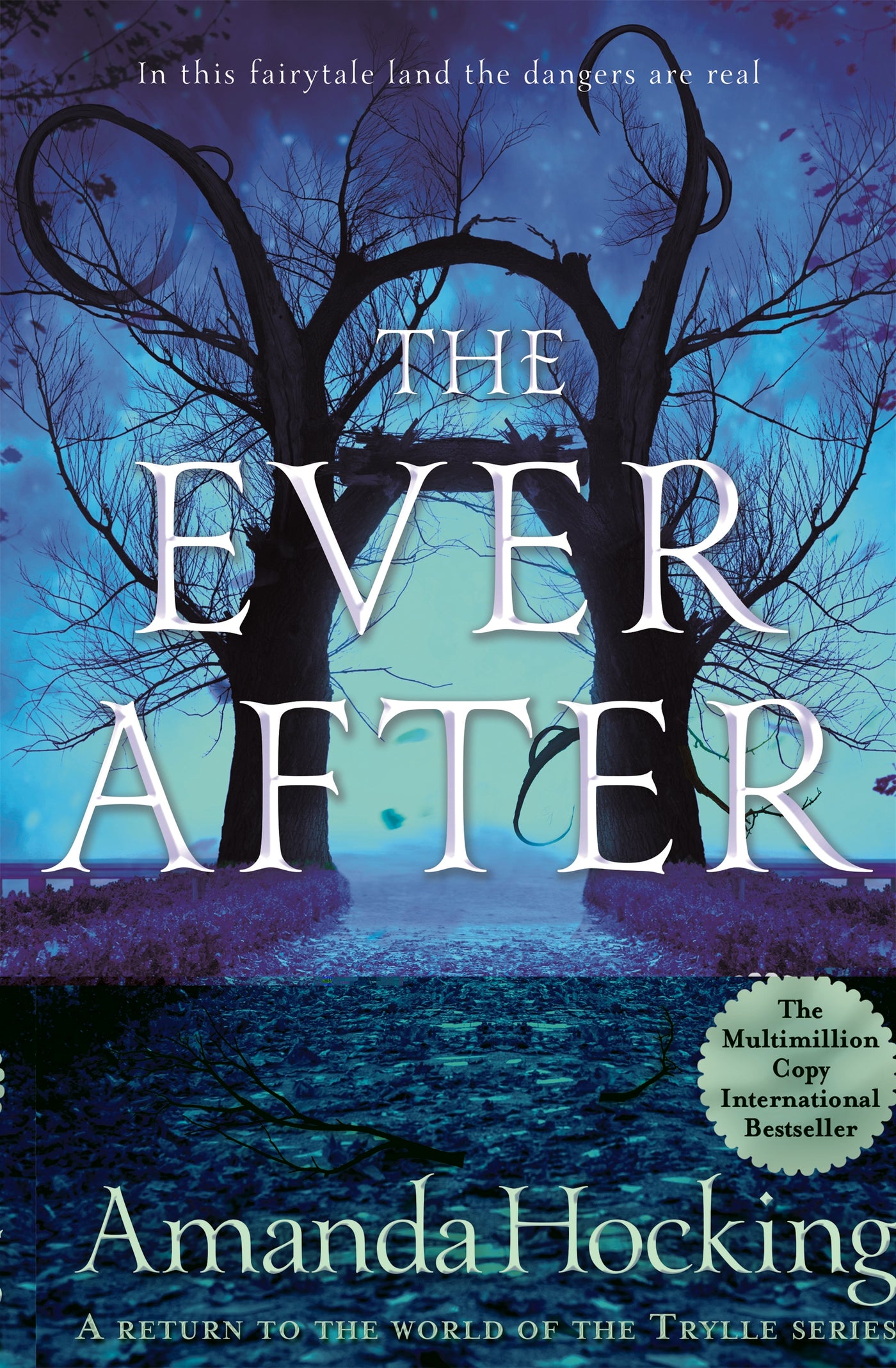 The Ever After- Paperback | Amanda Hocking