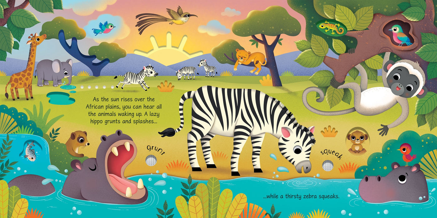 Wild Animals Sound Book - Board Book | Usborne Books