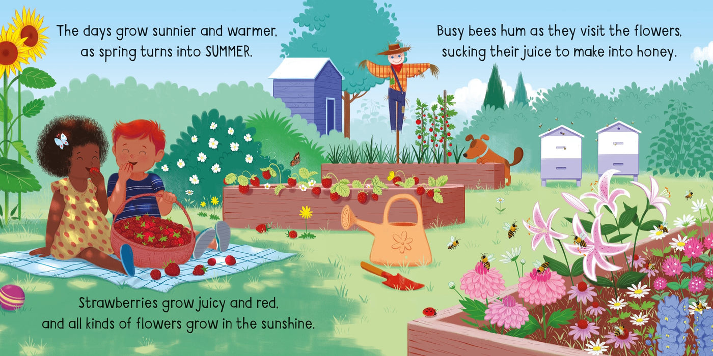 The Seasons - Little Board Books | Usborne Books