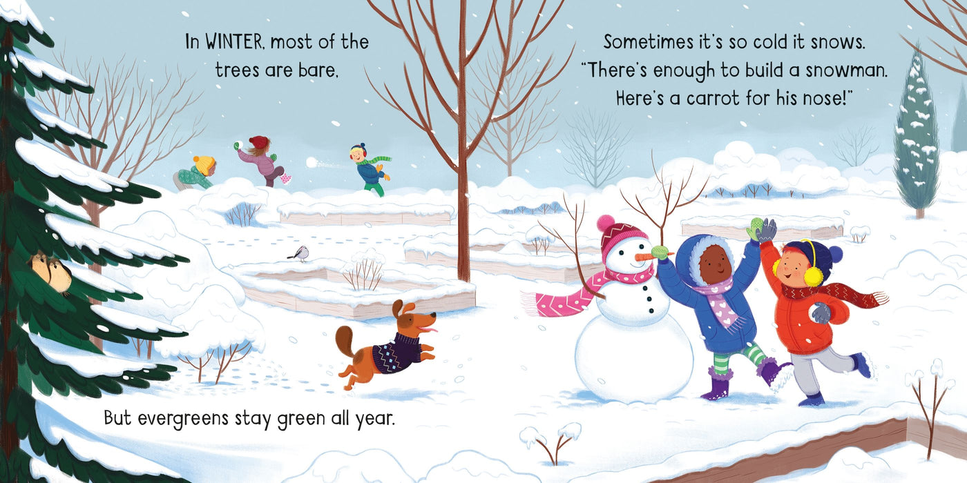 The Seasons - Little Board Books | Usborne Books