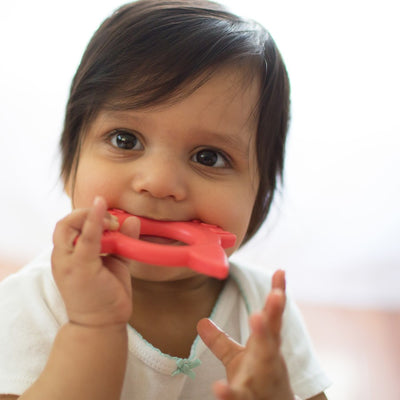 Dr. Brown’s™ Flexees Friends™ Teether - Red Fox