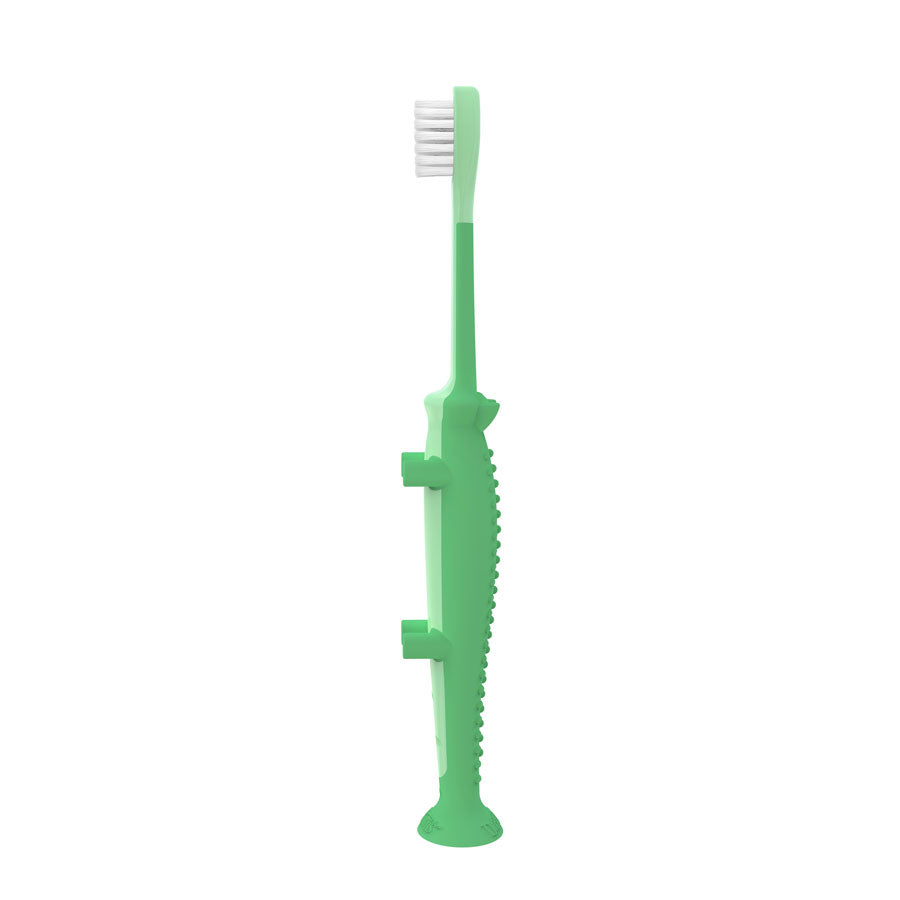 Dr. Brown’s™ Toddler Toothbrush, Crocodile, 1-Pack