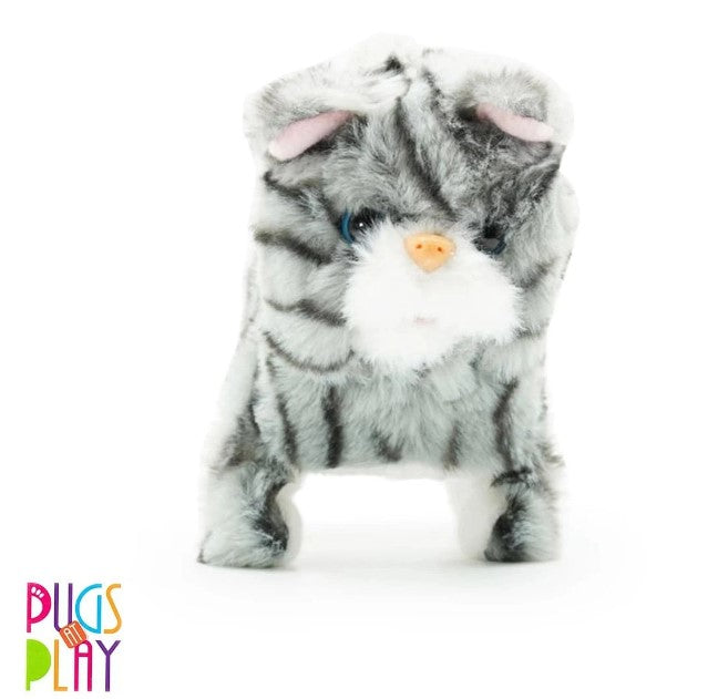 Fuzzbuzz Walking Pet: Zoe cat  | Pugs At Play