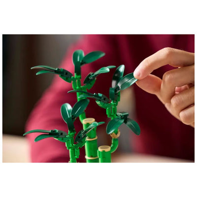 LEGO® Botanicals Collection #10344: Lucky Bamboo