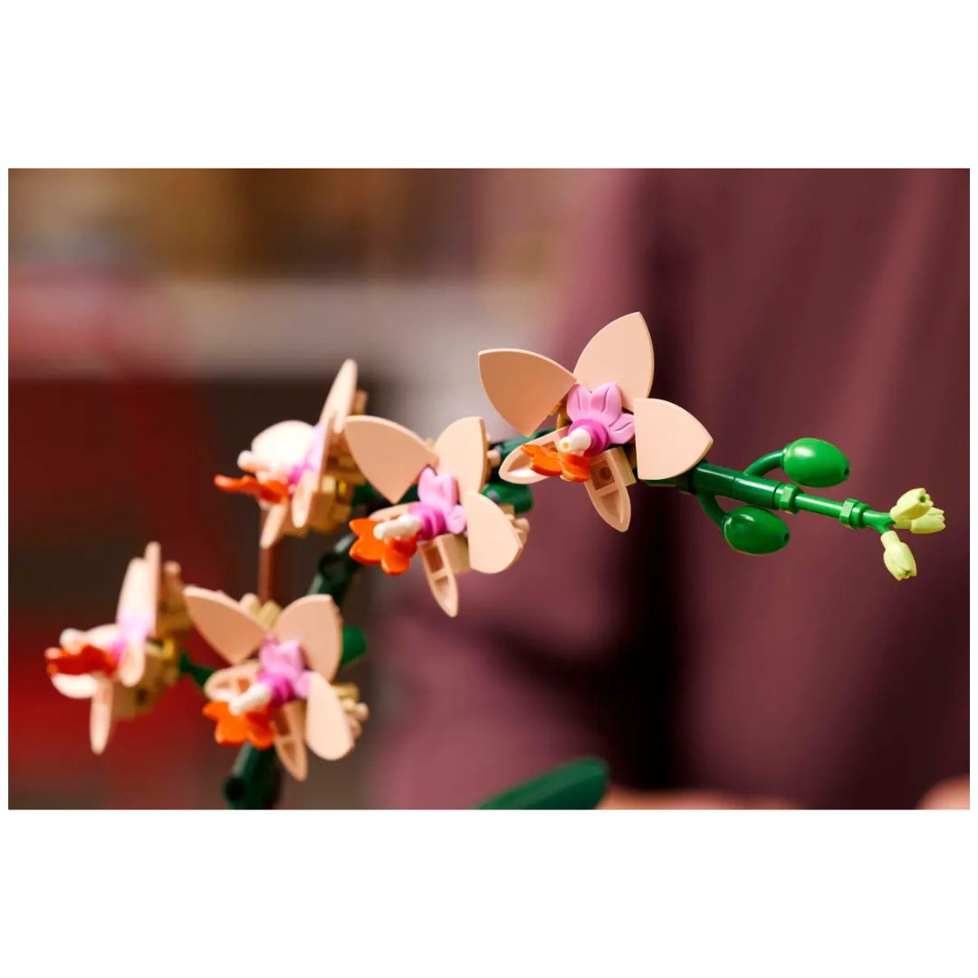 LEGO® Botanical Collection #10343: Mini Orchid