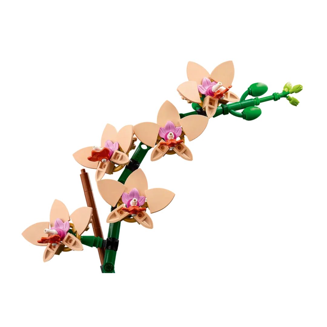 LEGO® Botanical Collection #10343: Mini Orchid