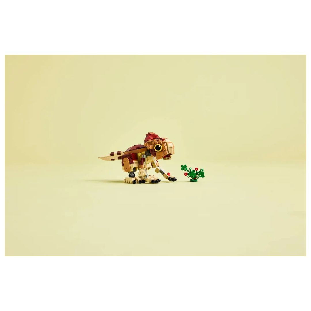 LEGO® Jurassic #76970: Baby Dinosaur Dolores: Aquilops