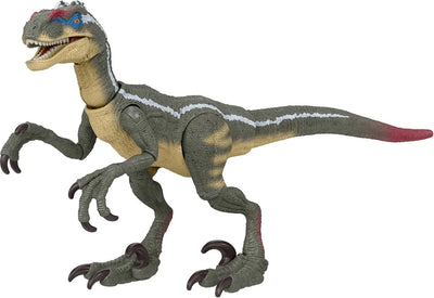 Jurassic Park: Velociraptor - Hammond Collection Dinosaur Figures | Mattel