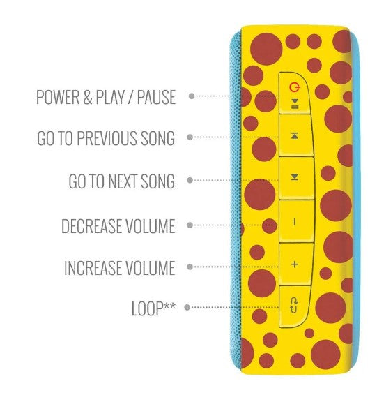 Saregama Carvaan Mini Kids Chota Bheem Bluetooth Speaker