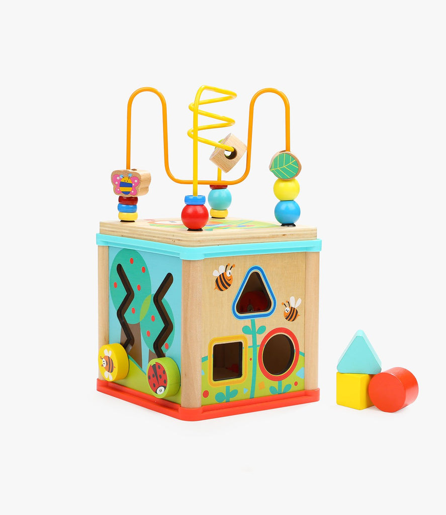 Garden 5-in-1 Activity Cube | Top Bright