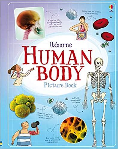 Human Body Picture Book - Hardcover | Usborne Books