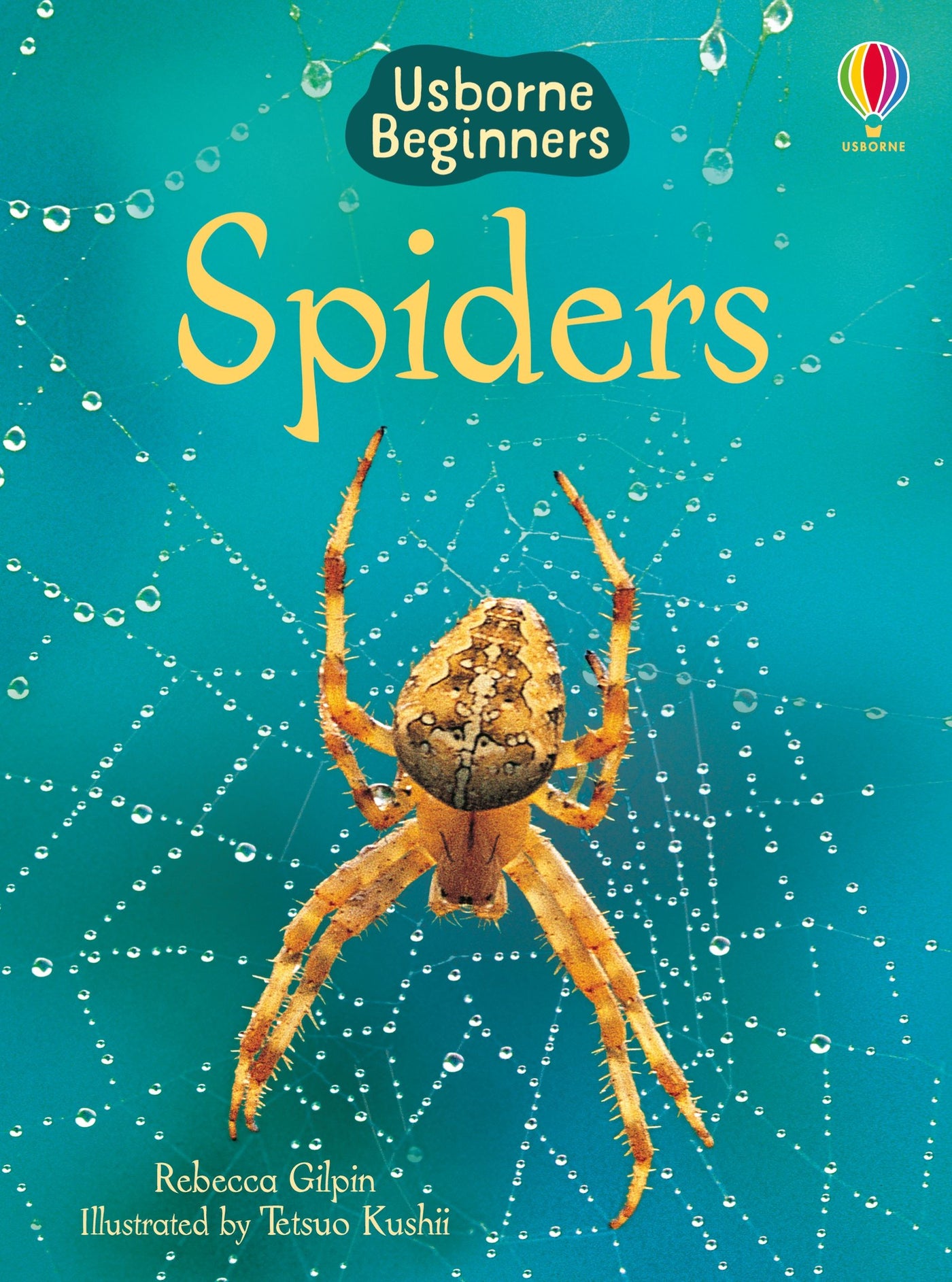 Spiders: Usborne Beginners Series - Hardcover | Usborne Books