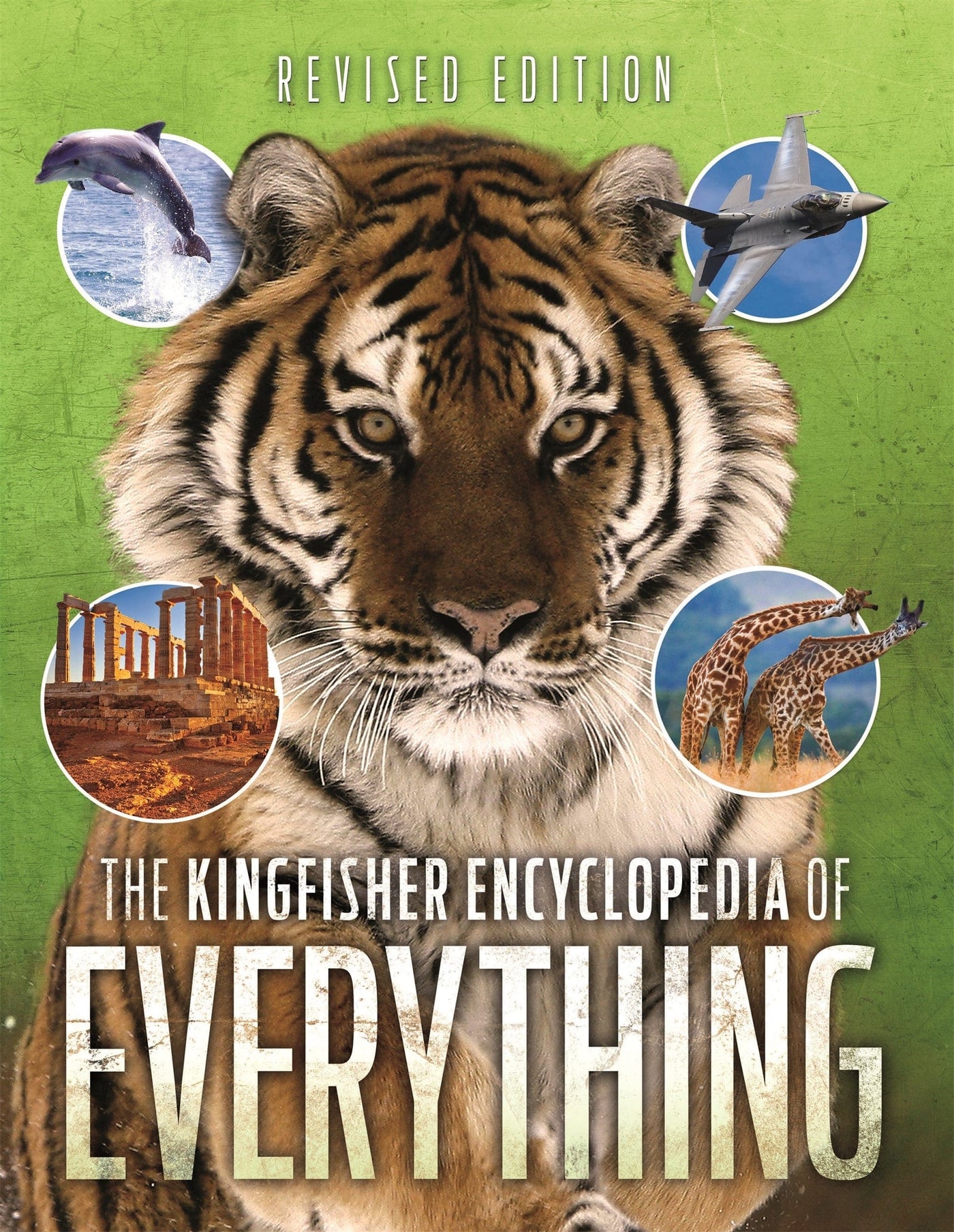 The Encyclopedia Of Everything - Paperback | Macmillan by Macmillan Book