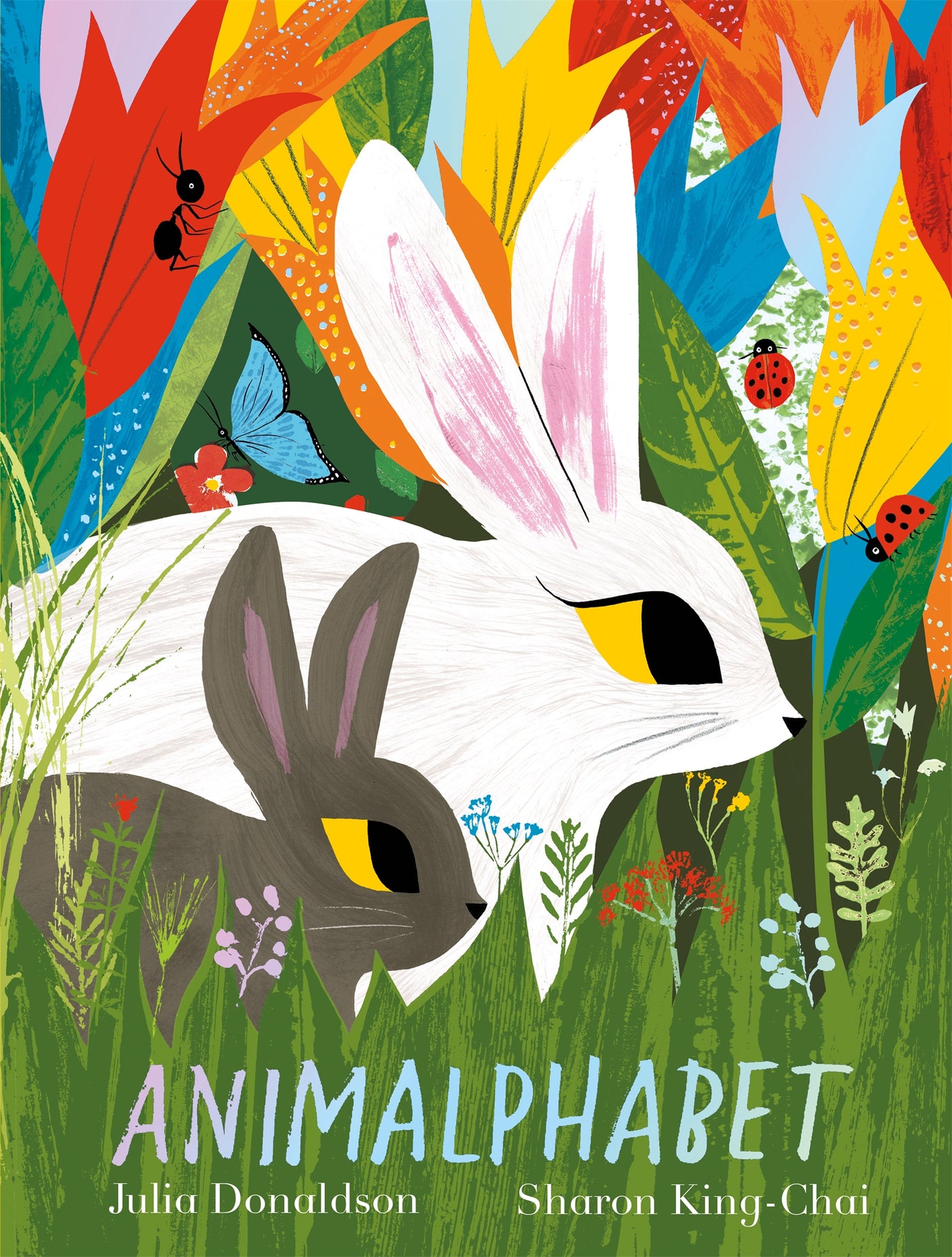 Animalphabet - Paperback | Julia Donaldson