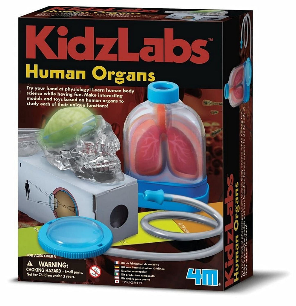 Kidz Labs - Human Organs | 4M