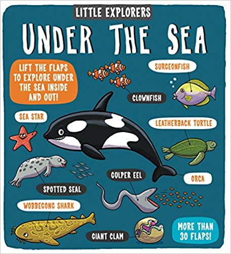 Little Explorers: Under the Sea - Board Book | Templar Books