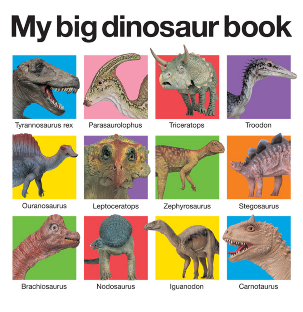 My Big Dinosaur Book - Board Book | Priddy Books