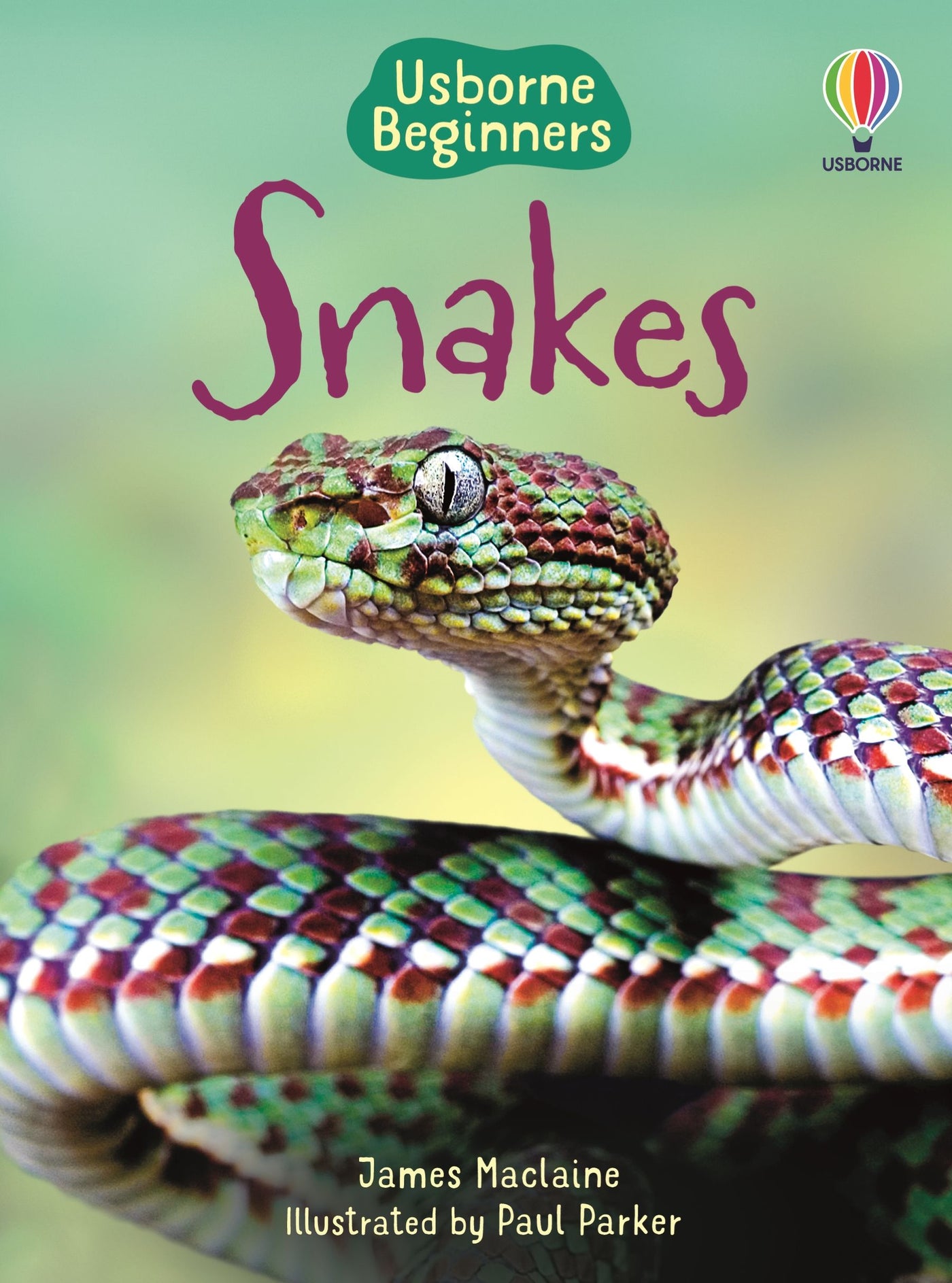 Snakes: Usborne Beginners Series- Hardcover | Usborne Books