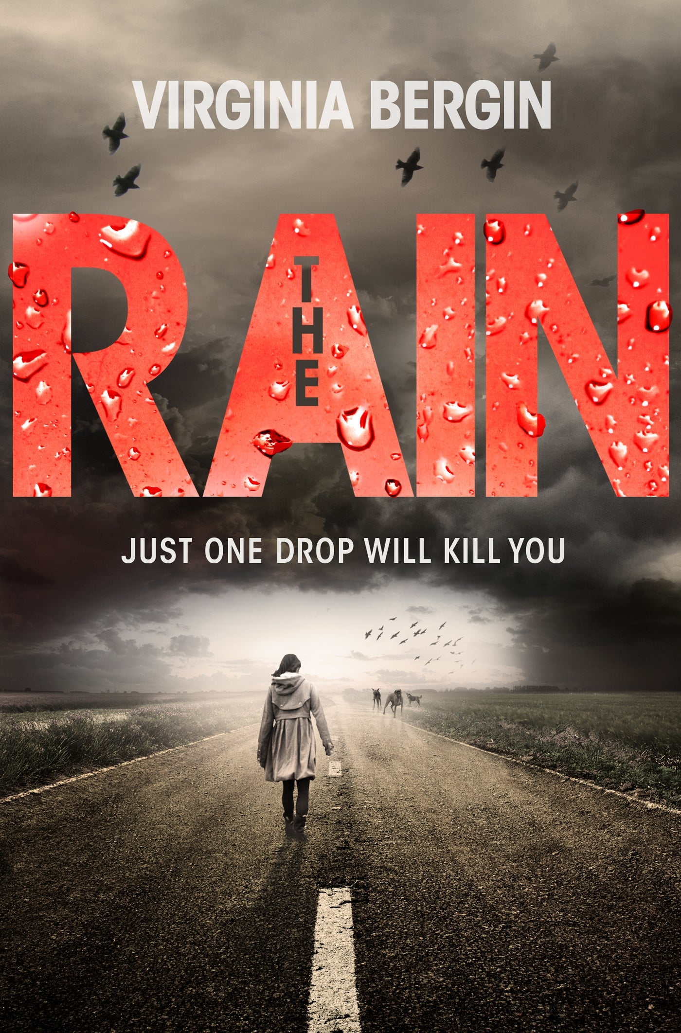 The Rain - Paperback | Virginia Bergin