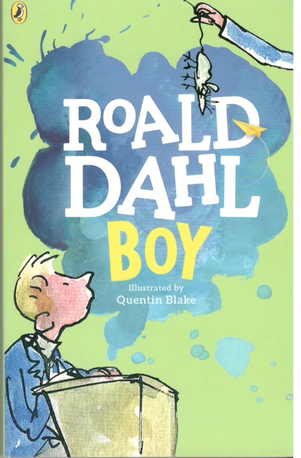 Boy - Paperback | Roald Dahl