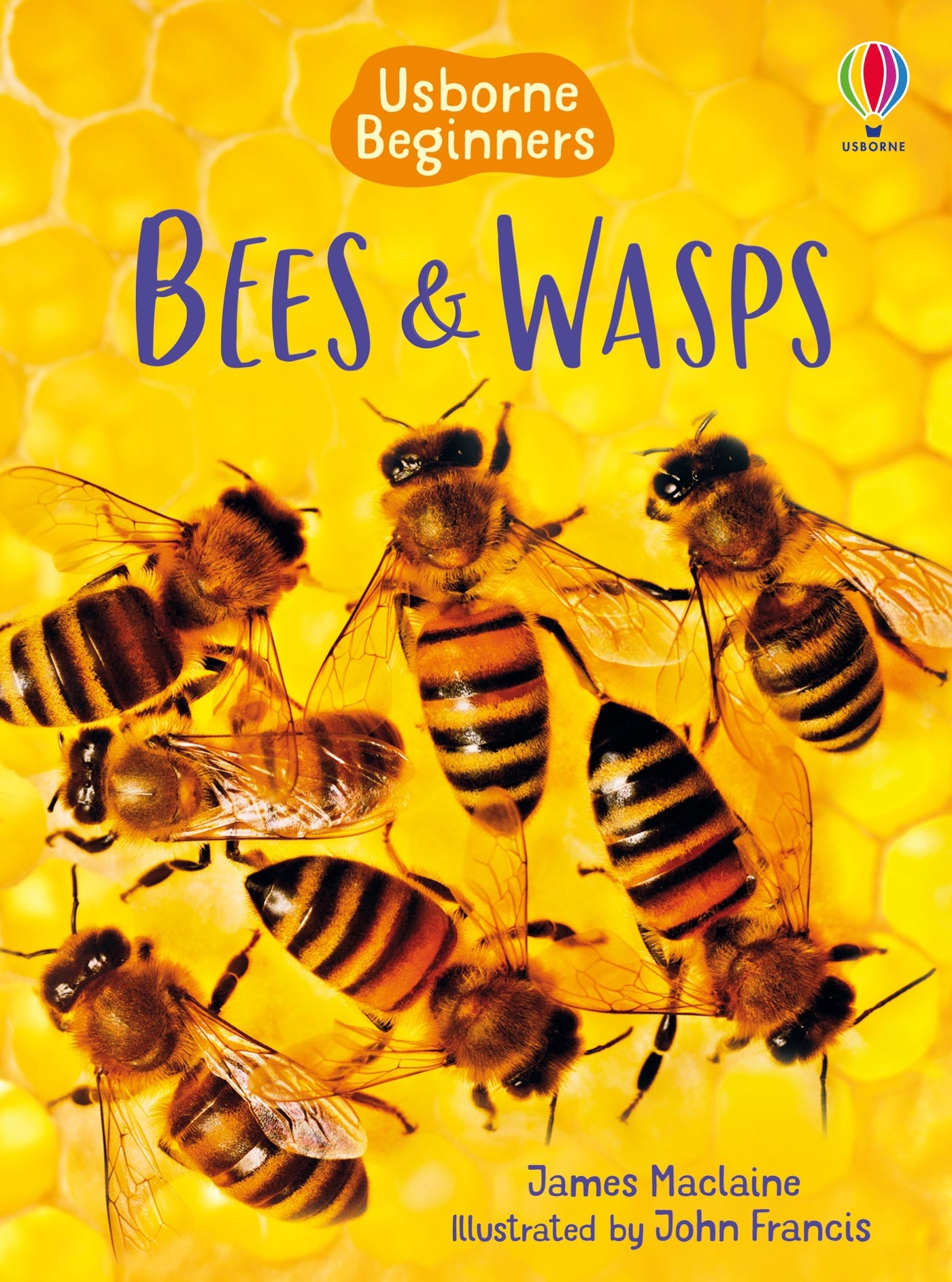 Bees and Wasps: Usborne Beginners Series  - Hardcover | Usborne Books