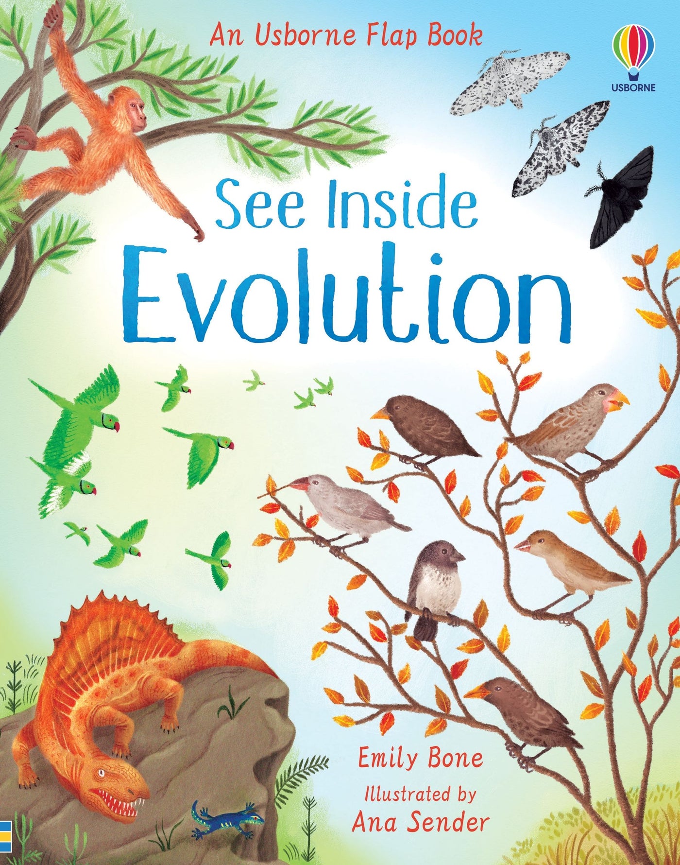 See Inside Evolution - Board Book | Usborne