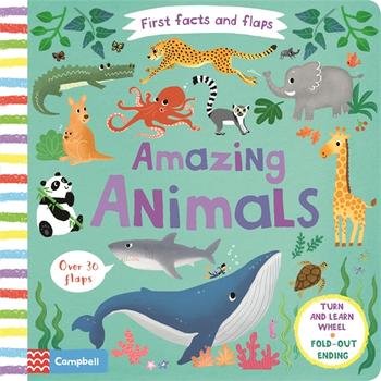 Amazing Animals: First Facts and Flaps - Board Book | Campbell Books
