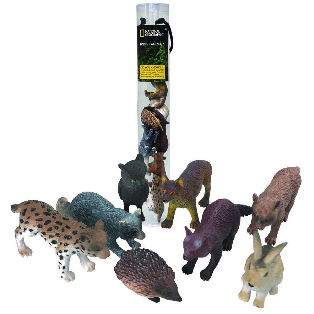 Forest Animals - Tube | National Geographic