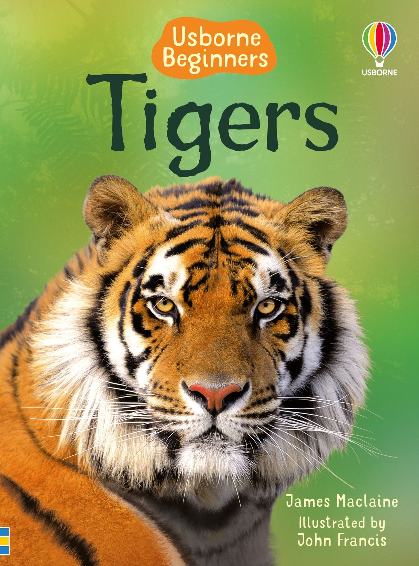Tigers: Usborne Beginners Series - Hardcover | Usborne Books by Usborne Books UK Book