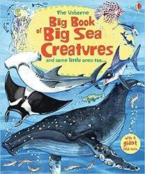 Big Book of Big Sea Creatures - Hardcover | Usborne