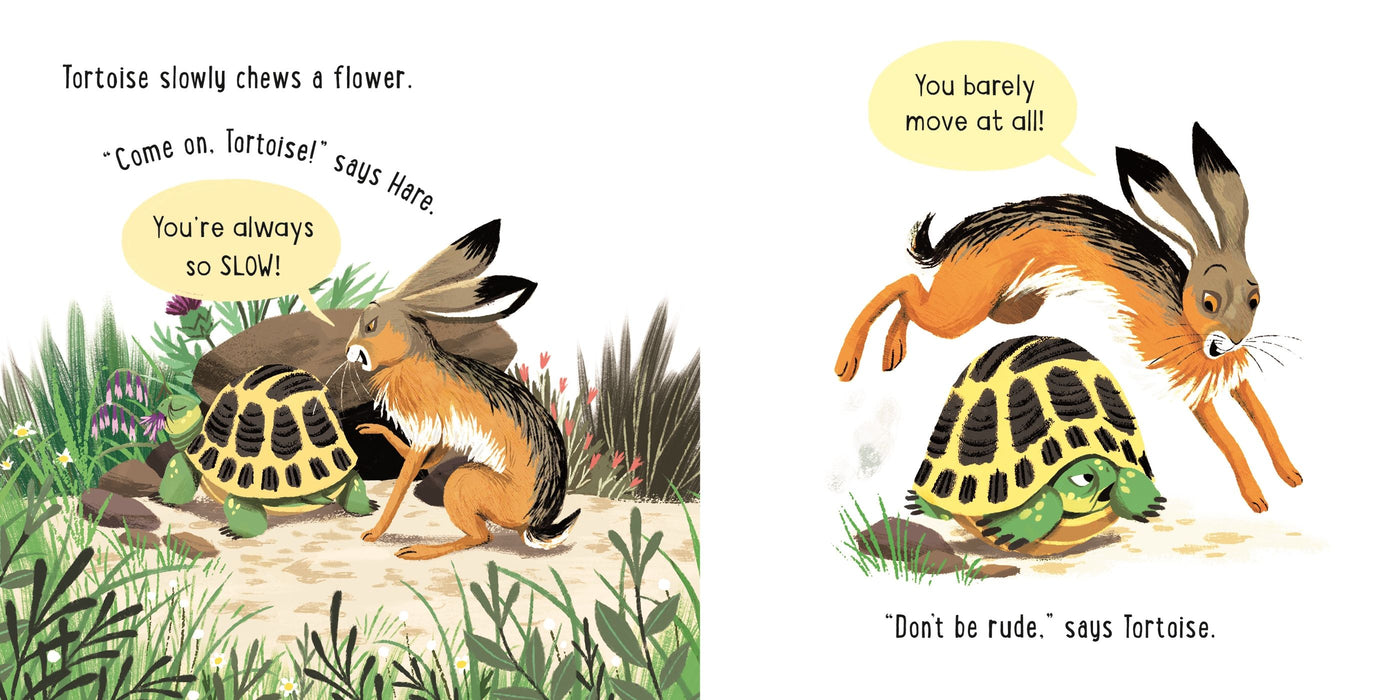 The Hare and the Tortoise - Little Board Book | Usborne