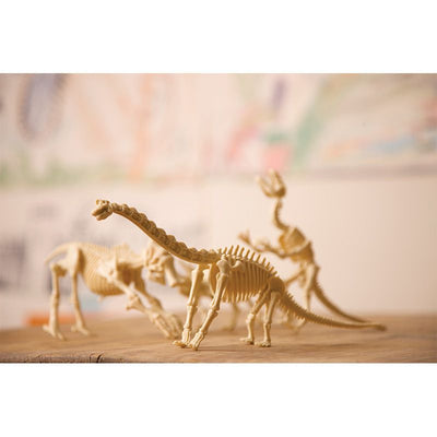 Kidz Labs - Skeleton Brachiosaurus | 4M