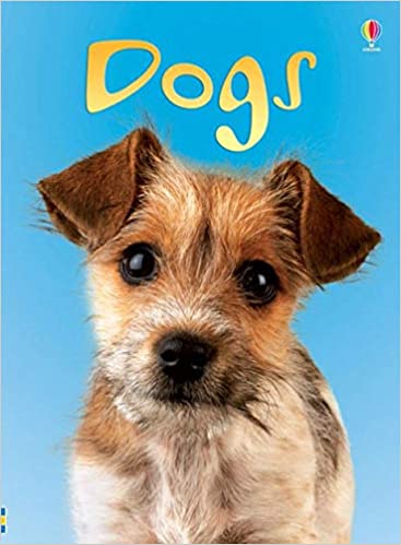 Dogs (Beginners) - Hardcover | Usborne Books