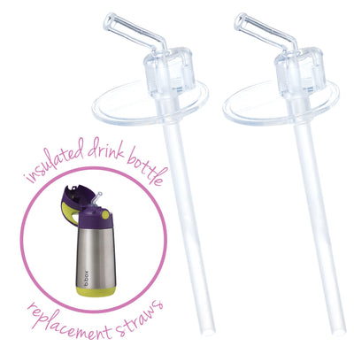 Replacement Straw: Pack of 2 | b.box