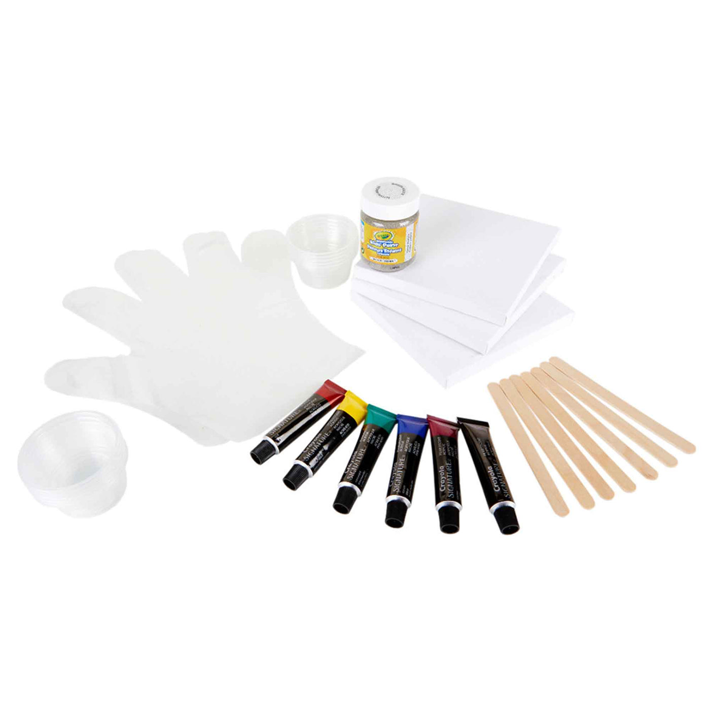 Signature DIY Paint-Pour Canvas Art Craft Kit | Crayola
