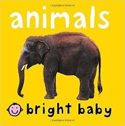 Bright Baby Animals – Illustrated - Krazy Caterpillar 