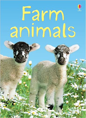 Farm Animals (Beginners) - Paperback | Usborne Books