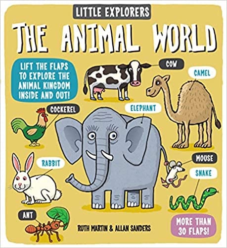 The Animal World: Little Explorers - Board Book | Templar Books by HarperCollins Publishers Book