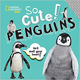So Cute! Penguins | National Geographic Kids