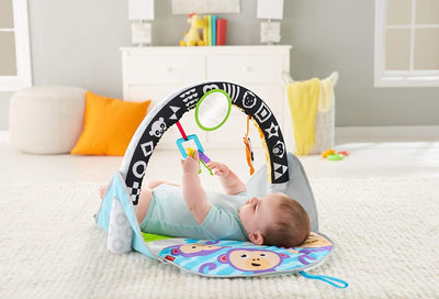 2-in-1 Flip and Fun Activity Gym | Fisher-Price