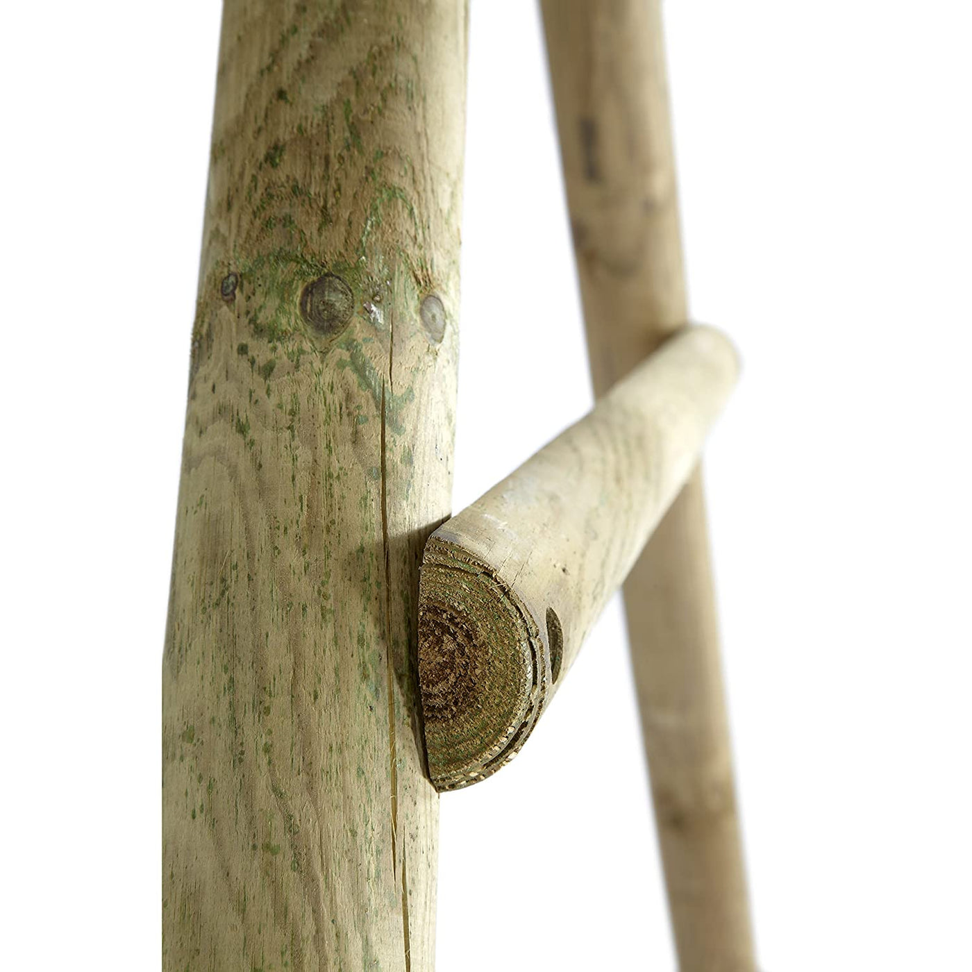 Bush Baby® Wooden Garden Swing Set | Plum®