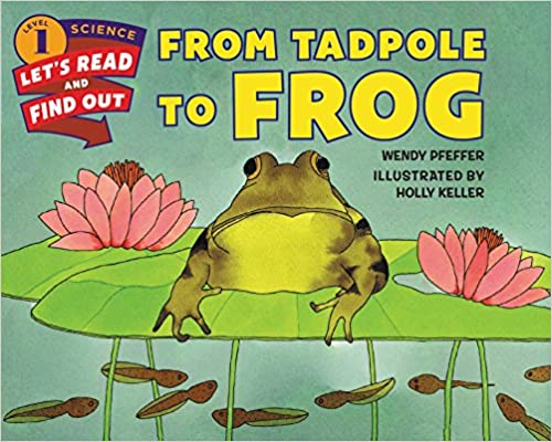 From Tadpole to Frog - Paperback | HarperCollins