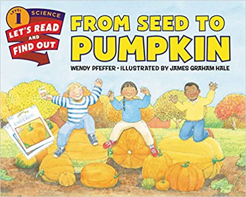From Seed to Pumpkin - Illustrated - Paperback | HarperCollins