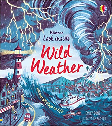 Look Inside Wild Weather - Board Book | Usborne
