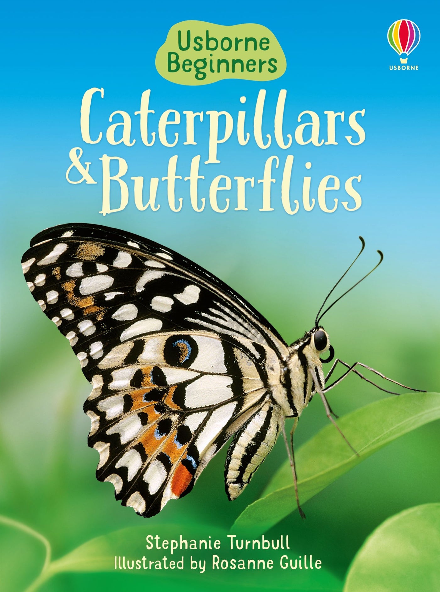 Caterpillars And Butterflies (Beginners) - Hardcover | Usborne