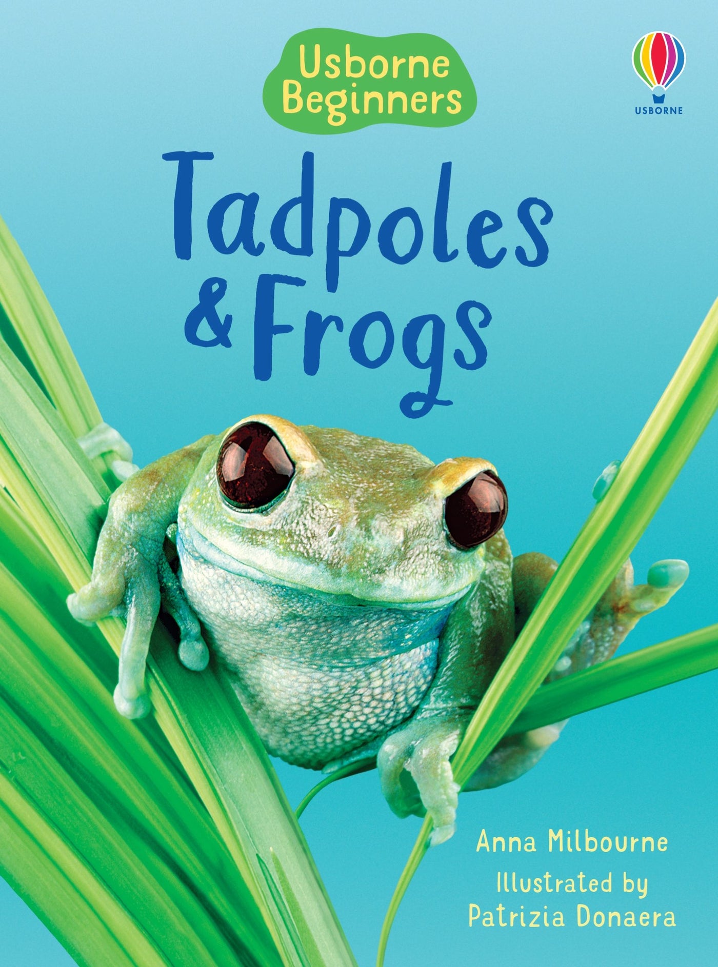 Tadpoles and Frogs - Hardcover | Usborne Books