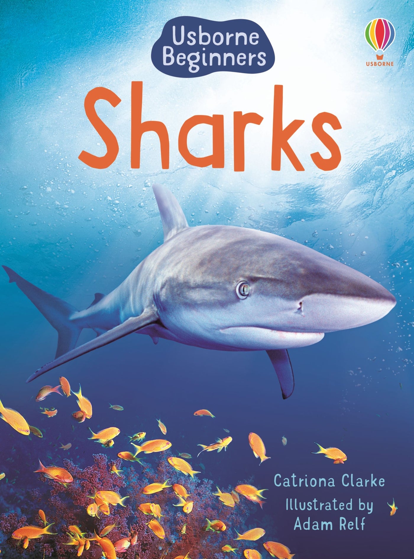 Sharks (Beginners) Hardcover | Usborne