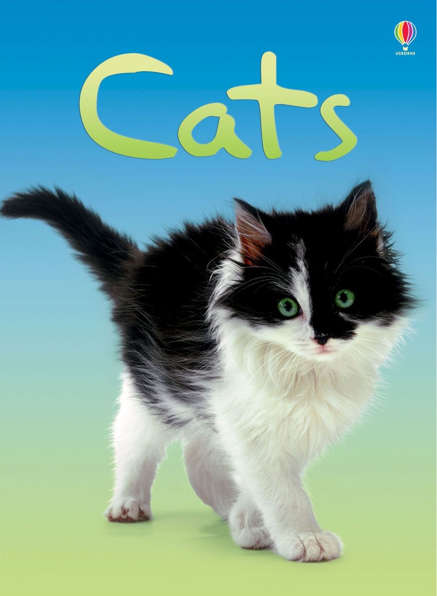 Cats (Beginners) - Hardcover | Usborne Books