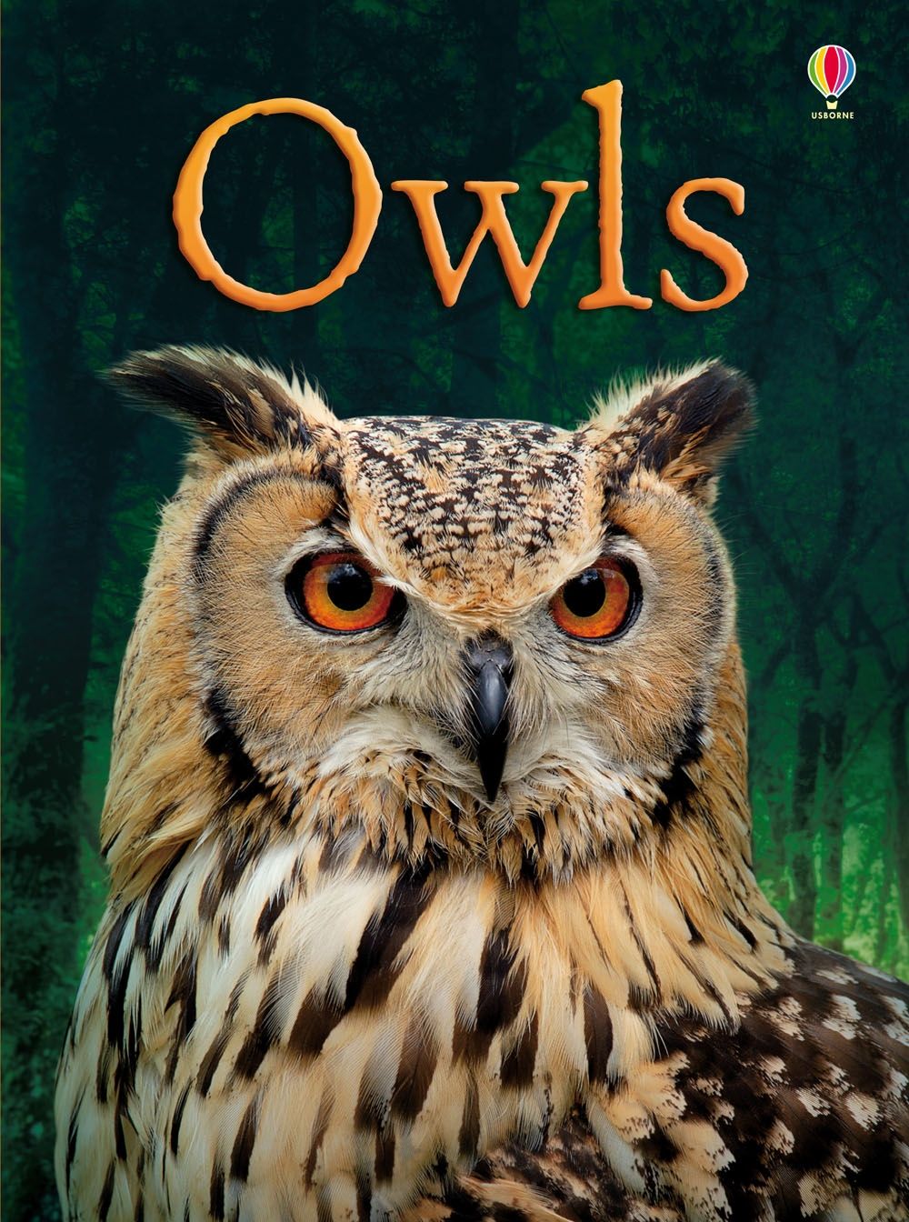Owls (Beginners) - Hardcover | Usborne